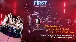 Oh Fortuna vs. Perfect Night vs. Drop That Low (When I Dip) / Timmy Trumpet Mashup