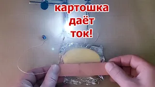 Халявное электричество из картошки. Картофель даёт яркий свет