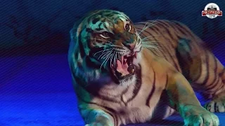 Цирк Никулина в Сочи: тигры Багдасаровых
