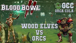 Blood Bowl 2 - Wood Elves (the Sage) vs Orcs (AndyDavo) - OCC G6