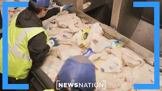 Report: Plastic recycling doesn't work | Dan Abrams Live