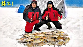 Ловля леща зимой | Зимняя рыбалка в палатке с ночевкой и комфоротом| Отличный улов!