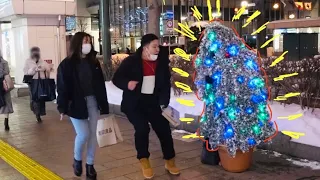 🌟Illumination🌟 tree Prank Japanese Reactions!