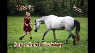 How To Start Liberty Training With Your Horse Part 2