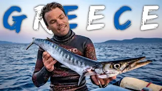 BARRACUDA tries to attack me - Spearfishing Greece Pt.1