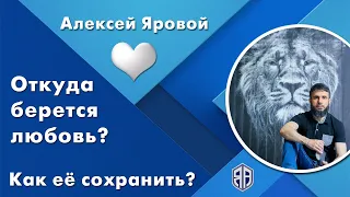 Откуда берется любовь? Как её сохранить? Алексей Яровой