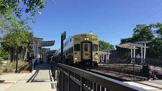 Sunrail with weird horn again