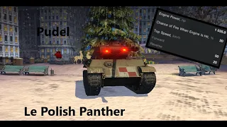 Le Polish Panther of SPEED - Pudel
