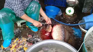 Lọc cá chép 4kg, quá nhanh, quá nguy hiểm