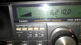 Laser Hot Hits 6210khz