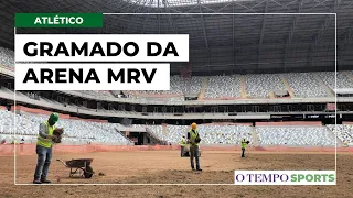 Atlético começar a plantar o gramado da Arena MRV