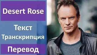 Sting - Desert Rose (lyrics, transcription)