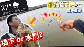 一直下雨就找遮風避雨的釣點！雨天的前打釣遊 找找小魚不孤單 #釣魚 #前打 #台南