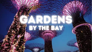 Exploring Singapore GARDENS BY THE BAY - Cloud Forest WATERFALL