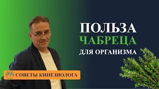 ЧАБРЕЦ ТИМЬЯН ПОЛЗУЧИЙ  Лучшие целебные травы для ПОВЫШЕНИЯ ИММУНИТЕТА  Природный иммуномодулятор