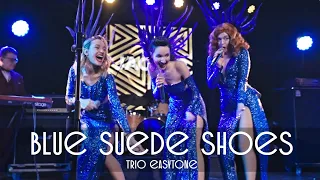 Blue suede shoes - Trio Easytone & jazz band lIVE