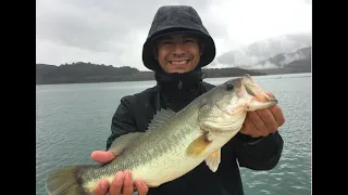 Lake Casitas - Huddleston Swimbait (Cast to Catch)