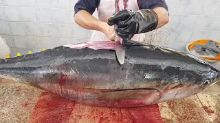 Unveiling Mastery: Cutting the Largest Fish - Step-by-Step Techniques and Culinary Insights