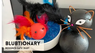 BLUBTIONARY (Rossini's Cats' Duet) [Music Video] - Fleur de Loup