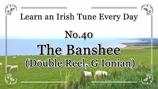 040 The Banshee (Double Reel, G Ionian) Learn an Irish Tune Every Day.