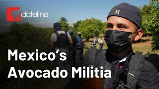 Mexico's Avocado Militia | SBS Dateline