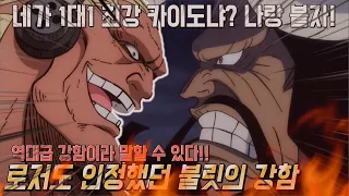 원피스 혼자서 초신성을 제압하고 해군 대장, 사황까지 때려 잡으려 했던 불릿의 강함