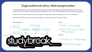 Organisationsstruktur, Matrixorganisation | Unternehmensführung