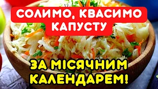 КОЛИ СОЛИТИ І КВАСИТИ КАПУСТУ у 2023 році: місячний календар і рецепт найсмачнішої капусти.