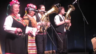 Goran Bregovic & Wedding and funeral band - Bijav ( Live at Янтарь Холл)