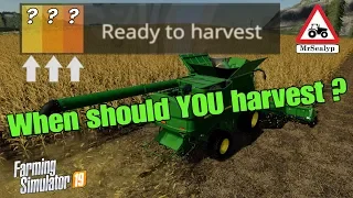 A Guide to... When should YOU harvest? (Ready to harvest!). Farming Simulator 19, PS4, Assistance!