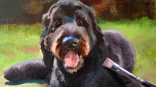 Labradoodle Oil Painting Time Lapse | How to Paint Dogs Alla Prima