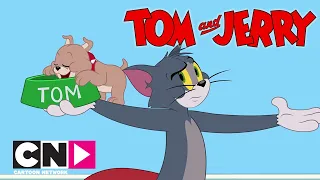 TOM VE JERRY | Bakıcı Tom | Cartoon Network Türkiye