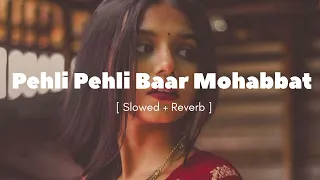 Pehli Pehli Baar Mohabbat Ki Hai | [ Slowed + Reverb ]