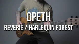 Opeth - Reverie / Harlequin Forest (full instrumental cover)