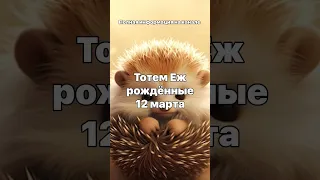 Тотем Ёж рождённые 12 марта Гадание на камнях, Тотемы, Гороскопы, Астрология #гороскоп