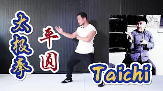 Why is TaiChi a circular motion in a horizontal direction?Explain with physical model太极拳为何是平圆？物理模型解析