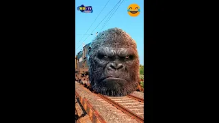 funny king kong | Funny train video | king kong | indian railways | comedy video | train #Shorts