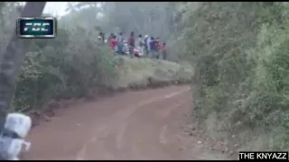 rally car jumps over a dog !