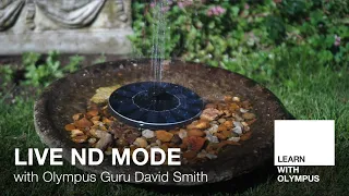 Live ND Mode with David Smith