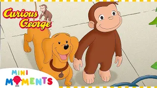 There's No Place Like Home! | Curious George | 1 Hour Compilation | Mini Moments