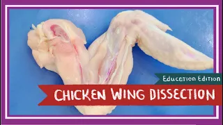 Chicken Wing Dissection || Spread Your Wings (EDU)
