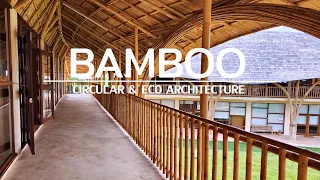 Bamboo - The ideal material for circular and eco architecture
