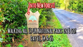 Day 63-65: *500KM's HIKED & INTO NEW FOREST NATIONAL PARK!* Walking all 15 UK National Parks in 1 go