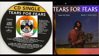 Tears For Fears - Break It Down Again (Sowing Puzzle 90's) Disco Mix VP Dj Duck