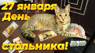 День стольника для кошек Михалыча . 27 января.