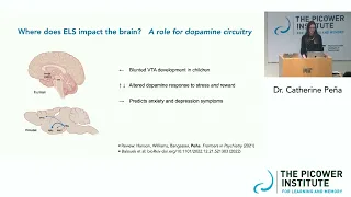 Early Life Stress & Translational Epigenetics