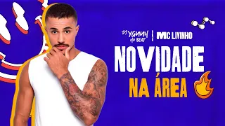 Novidade Na Área Remix,Versão Arrochadeira - MC Livinho - DJ Yguuh