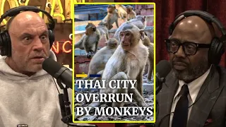 Thailand Is Infested With Monkeys | Joe Rogan & Donnell Rawlings