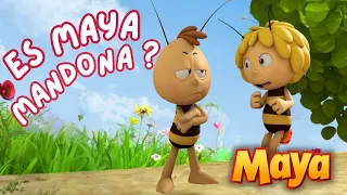 ¿LE GUSTA DEMASIADO A MAYA DAR ÓRDENES?🫡🫡 MEJORES CAPÍTULOS DE MAYA para niños en ESPAÑOL 🐝