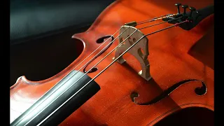 Cello Classical Music ~ 30 minutes compilation